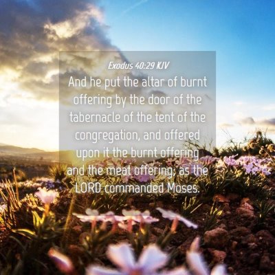 Picture 04 - Exodus 40:29 KJV - And he put the altar of burnt offering by the - Bible Verse Picture