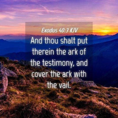 Picture 04 - Exodus 40:3 KJV - And thou shalt put therein the ark of the - Bible Verse Picture