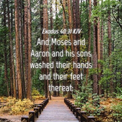 Picture 04 - Exodus 40:31 KJV - And Moses and Aaron and his sons washed their - Bible Verse Picture