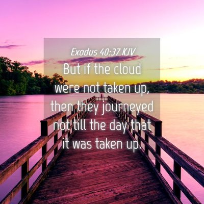 Picture 04 - Exodus 40:37 KJV - But if the cloud were not taken up, then they - Bible Verse Picture