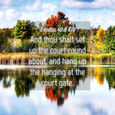 Picture 04 - Exodus 40:8 KJV - And thou shalt set up the court round about, and - Bible Verse Picture