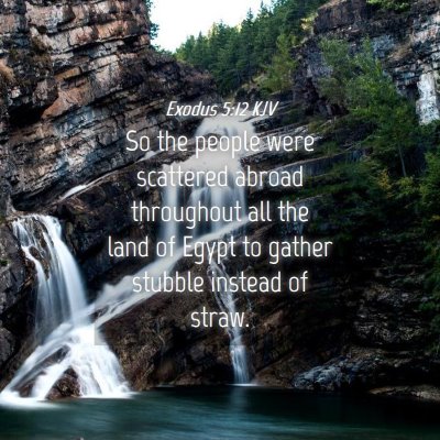 Picture 04 - Exodus 5:12 KJV - So the people were scattered abroad throughout - Bible Verse Picture