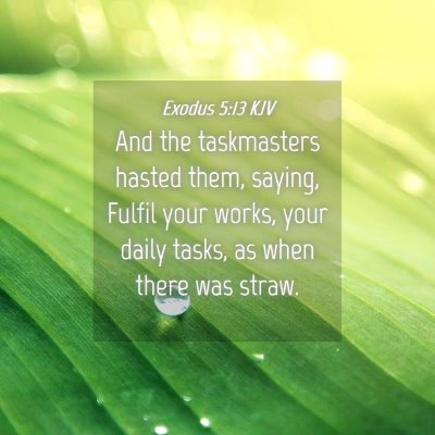 Picture 04 - Exodus 5:13 KJV - And the taskmasters hasted them, saying, Fulfil - Bible Verse Picture