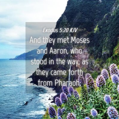 Picture 04 - Exodus 5:20 KJV - And they met Moses and Aaron, who stood in the - Bible Verse Picture