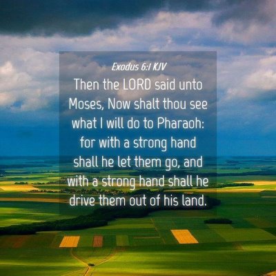 Picture 04 - Exodus 6:1 KJV - Then the LORD said unto Moses, Now shalt thou see - Bible Verse Picture