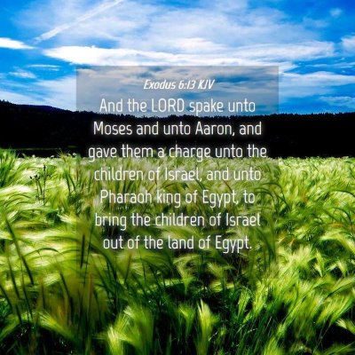 Picture 04 - Exodus 6:13 KJV - And the LORD spake unto Moses and unto Aaron, and - Bible Verse Picture