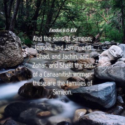 Picture 04 - Exodus 6:15 KJV - And the sons of Simeon; Jemuel, and Jamin, and - Bible Verse Picture