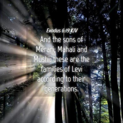 Picture 04 - Exodus 6:19 KJV - And the sons of Merari; Mahali and Mushi: these - Bible Verse Picture