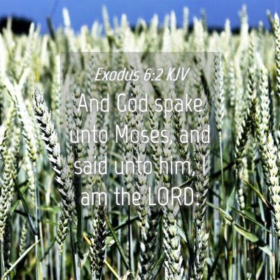 Picture 04 - Exodus 6:2 KJV - And God spake unto Moses, and said unto him, I am - Bible Verse Picture