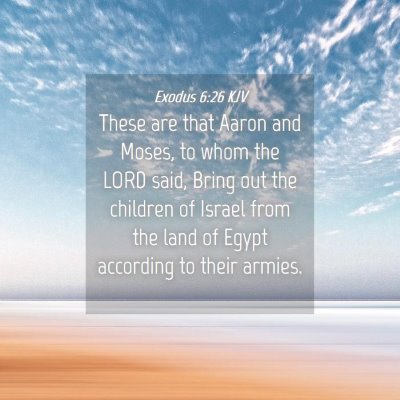 Picture 04 - Exodus 6:26 KJV - These are that Aaron and Moses, to whom the LORD - Bible Verse Picture