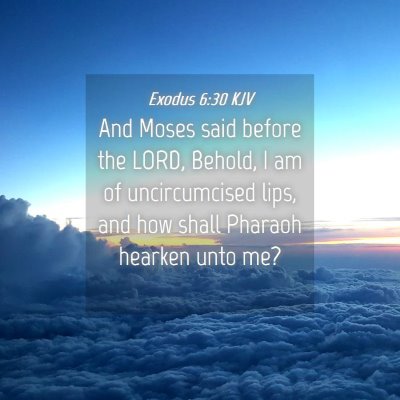 Picture 04 - Exodus 6:30 KJV - And Moses said before the LORD, Behold, I am of - Bible Verse Picture