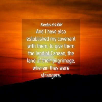Picture 04 - Exodus 6:4 KJV - And I have also established my covenant with - Bible Verse Picture