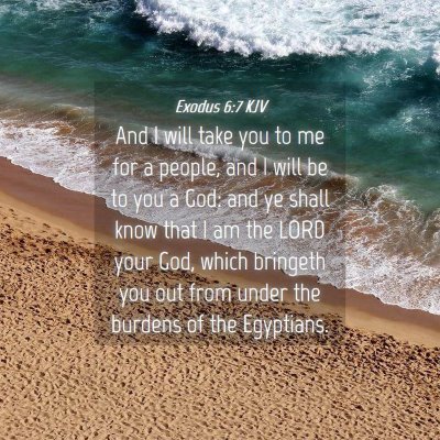 Picture 04 - Exodus 6:7 KJV - And I will take you to me for a people, and I - Bible Verse Picture