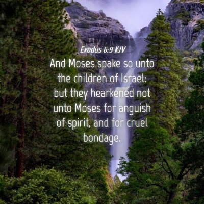 Picture 04 - Exodus 6:9 KJV - And Moses spake so unto the children of Israel: - Bible Verse Picture