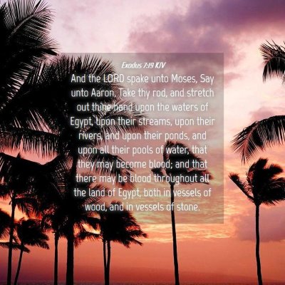 Picture 04 - Exodus 7:19 KJV - And the LORD spake unto Moses, Say unto Aaron, - Bible Verse Picture