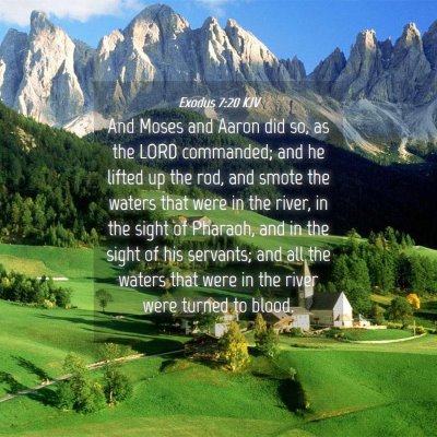 Picture 04 - Exodus 7:20 KJV - And Moses and Aaron did so, as the LORD - Bible Verse Picture