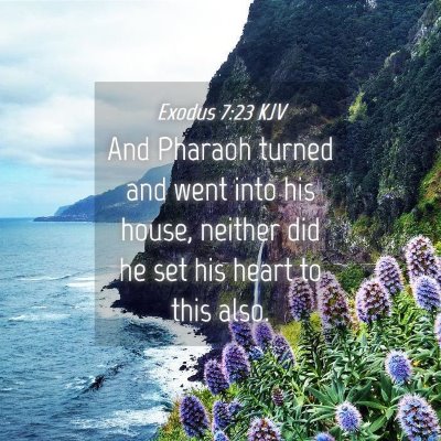 Picture 04 - Exodus 7:23 KJV - And Pharaoh turned and went into his house, - Bible Verse Picture