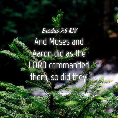 Picture 04 - Exodus 7:6 KJV - And Moses and Aaron did as the LORD commanded - Bible Verse Picture