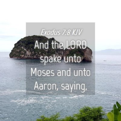Picture 04 - Exodus 7:8 KJV - And the LORD spake unto Moses and unto Aaron, - Bible Verse Picture