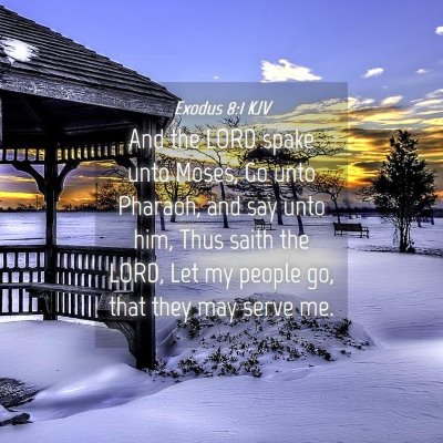 Picture 04 - Exodus 8:1 KJV - And the LORD spake unto Moses, Go unto Pharaoh, - Bible Verse Picture