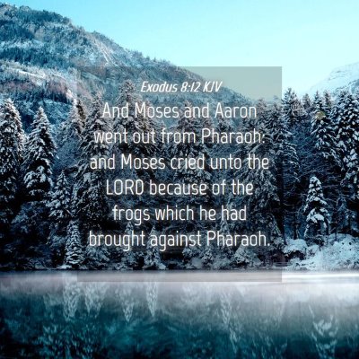 Picture 04 - Exodus 8:12 KJV - And Moses and Aaron went out from Pharaoh: and - Bible Verse Picture