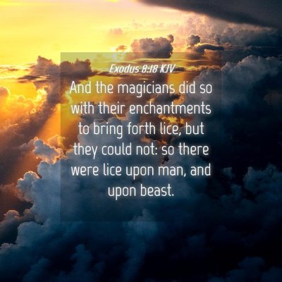 Picture 04 - Exodus 8:18 KJV - And the magicians did so with their enchantments - Bible Verse Picture