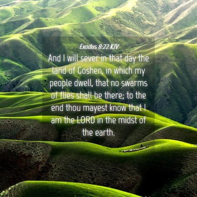 Picture 04 - Exodus 8:22 KJV - And I will sever in that day the land of Goshen, - Bible Verse Picture
