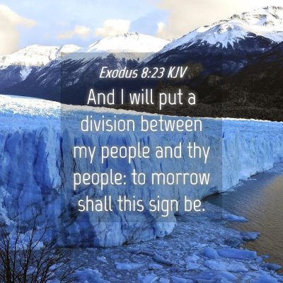 Picture 04 - Exodus 8:23 KJV - And I will put a division between my people and - Bible Verse Picture
