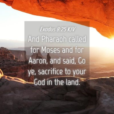Picture 04 - Exodus 8:25 KJV - And Pharaoh called for Moses and for Aaron, and - Bible Verse Picture