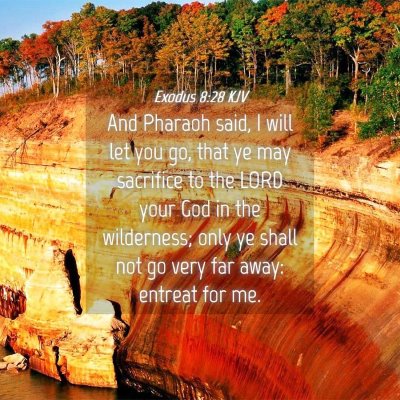 Picture 04 - Exodus 8:28 KJV - And Pharaoh said, I will let you go, that ye may - Bible Verse Picture
