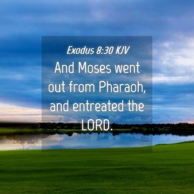 Picture 04 - Exodus 8:30 KJV - And Moses went out from Pharaoh, and entreated - Bible Verse Picture
