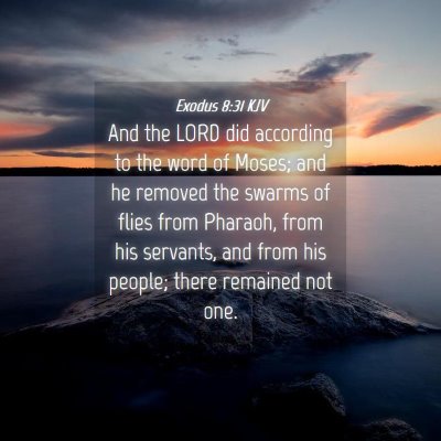 Picture 04 - Exodus 8:31 KJV - And the LORD did according to the word of Moses; - Bible Verse Picture
