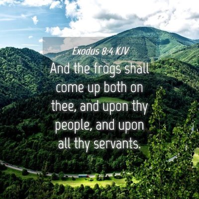 Picture 04 - Exodus 8:4 KJV - And the frogs shall come up both on thee, and - Bible Verse Picture