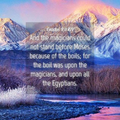 Picture 04 - Exodus 9:11 KJV - And the magicians could not stand before Moses - Bible Verse Picture