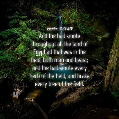 Picture 04 - Exodus 9:25 KJV - And the hail smote throughout all the land of - Bible Verse Picture
