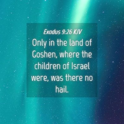 Picture 04 - Exodus 9:26 KJV - Only in the land of Goshen, where the children of - Bible Verse Picture