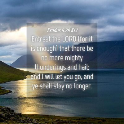Picture 04 - Exodus 9:28 KJV - Entreat the LORD (for it is enough) that there be - Bible Verse Picture
