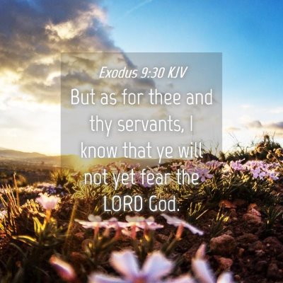 Picture 04 - Exodus 9:30 KJV - But as for thee and thy servants, I know that ye - Bible Verse Picture