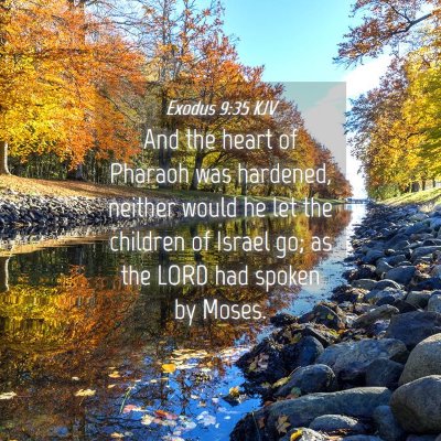 Picture 04 - Exodus 9:35 KJV - And the heart of Pharaoh was hardened, neither - Bible Verse Picture