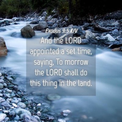Picture 04 - Exodus 9:5 KJV - And the LORD appointed a set time, saying, To - Bible Verse Picture