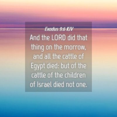 Picture 04 - Exodus 9:6 KJV - And the LORD did that thing on the morrow, and - Bible Verse Picture