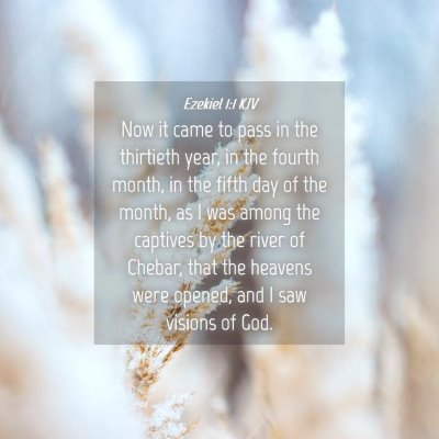 Picture 04 - Ezekiel 1:1 KJV - Now it came to pass in the thirtieth year, in the - Bible Verse Picture