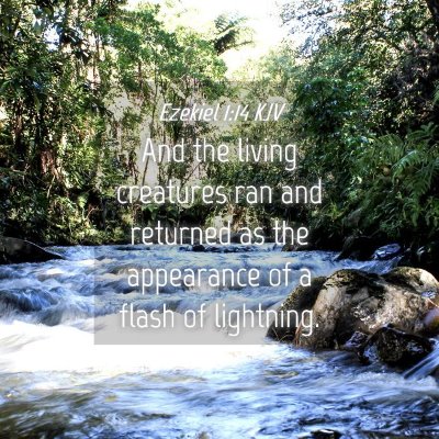 Picture 04 - Ezekiel 1:14 KJV - And the living creatures ran and returned as the - Bible Verse Picture
