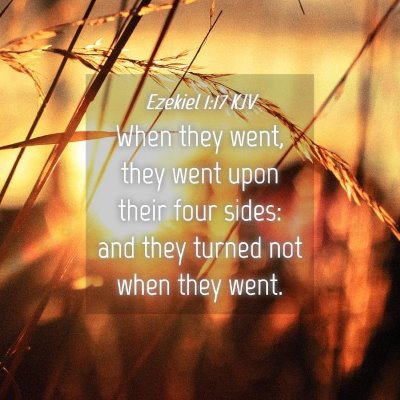 Picture 04 - Ezekiel 1:17 KJV - When they went, they went upon their four sides: - Bible Verse Picture
