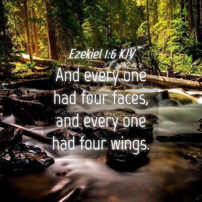 Picture 04 - Ezekiel 1:6 KJV - And every one had four faces, and every one had - Bible Verse Picture