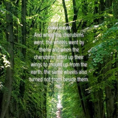 Picture 04 - Ezekiel 10:16 KJV - And when the cherubims went, the wheels went by - Bible Verse Picture