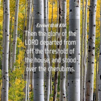 Picture 04 - Ezekiel 10:18 KJV - Then the glory of the LORD departed from off the - Bible Verse Picture