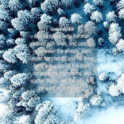 Picture 04 - Ezekiel 10:2 KJV - And he spake unto the man clothed with linen, and - Bible Verse Picture