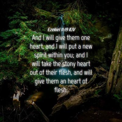 Picture 04 - Ezekiel 11:19 KJV - And I will give them one heart, and I will put a - Bible Verse Picture