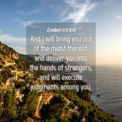 Picture 04 - Ezekiel 11:9 KJV - And I will bring you out of the midst thereof, - Bible Verse Picture